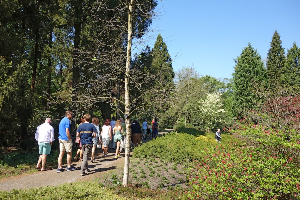 Bezoek Nationaal Bomenmuseum Gimborn Stichting Von Gimborn Arboretum